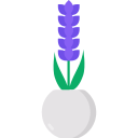 lavanda icon