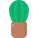 cactus icon