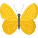 papillon icon