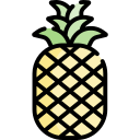 piña icon