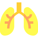 pulmones 