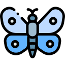 mariposa icon