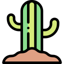 cactus icon