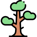 Árbol icon