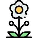 flores icon