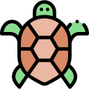 tortuga icon