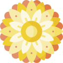 mandala icon