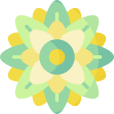 mandala icon