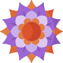 mandala icon