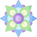 mandala icon