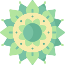 mandala icon