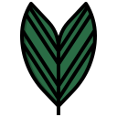 palmera icon