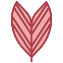 palmera icon