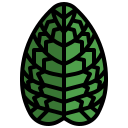 fittonia icon