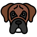 boxer icon