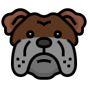 buldog icon