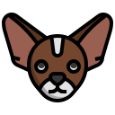 chihuahua icon