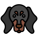 perro tejonero icon