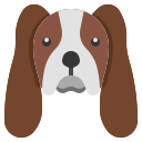 cavalier king charles spaniel icon