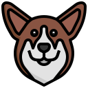 caniche icon