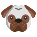 doguillo icon