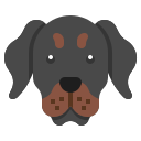 rottweiler icon