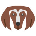 saluki 