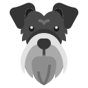 schnauzer icon