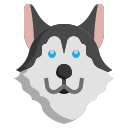 husky siberiano icon