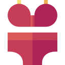 bikini icon