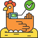 pollo icon