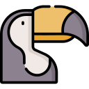 toucan 