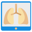 pulmones icon