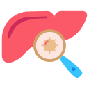 hepatitis icon