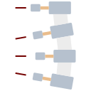 columna vertebral icon