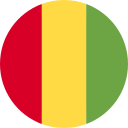 guinea icon