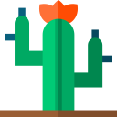 cactus icon