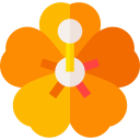 hibisco icon