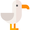 gaviota icon