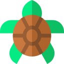 tortuga icon