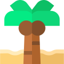 palmera icon