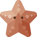 estrella de mar