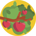 Árbol de frutas icon