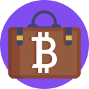 bitcoin aceptado icon