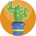 cactus icon