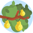 Árbol de frutas icon