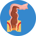 colon icon