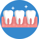 molar icon