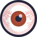 globo ocular icon