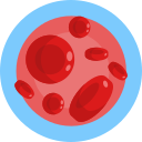 Red blood cells 